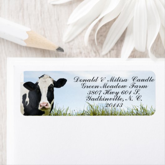 Étiquette Holstein (En situation)