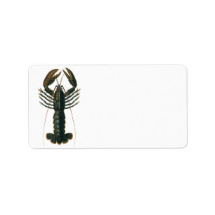 Étiquette Homard vintage, Marine Ocean Life Crustacean