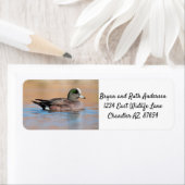 Étiquette Homme American Wigeon (En situation)