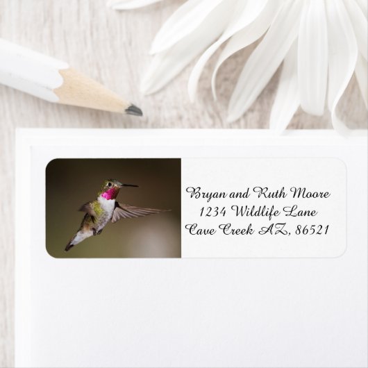 Étiquette Homme Broad - colibri à queue (En situation)