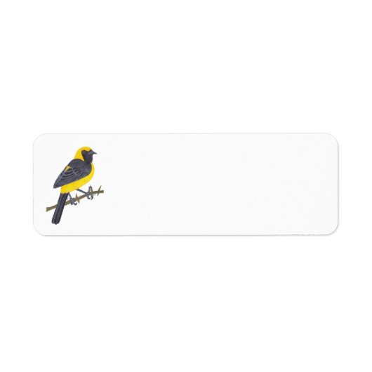 ÉTIQUETTE HOODED ORIOLE (Devant)