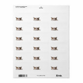 Étiquette "Hôpital animal" (Feuille entière)