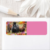 Étiquette Horses Colorful (En situation)
