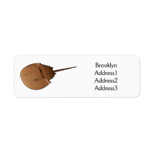 Étiquette Horseshoe crab