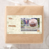 Étiquette Hover kitteh (En situation)