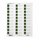 Étiquette Hunter Green Gold Agate Mariage Adresse de retour (Feuille entière)