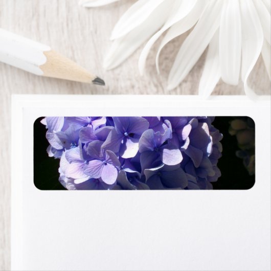 Étiquette Hydrangée (En situation)