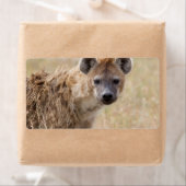 Étiquette Hyena (En situation)