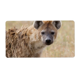 Étiquette Hyena