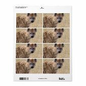 Étiquette Hyena (Feuille entière)