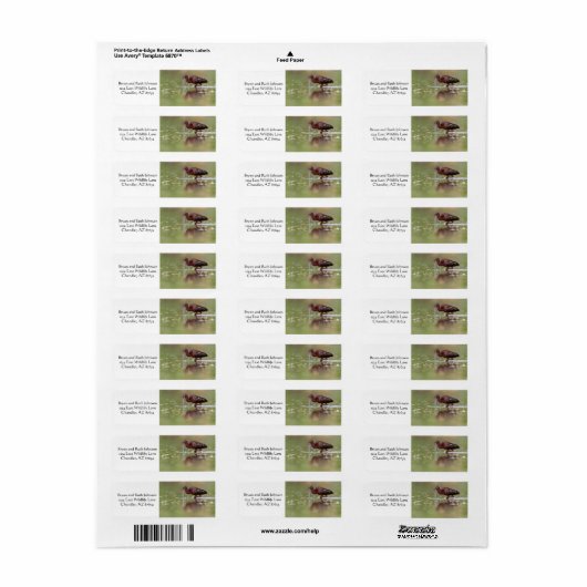 Étiquette Ibis dans les étangs (Feuille entière)