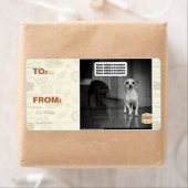 Étiquette Il n'y a rien à craindre (En situation)