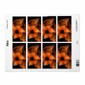 Étiquette Illuminations Art Abstrait Fractal (Feuille entière)