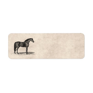 Étiquette Illustration Arabe de cheval de 1800s vintages -