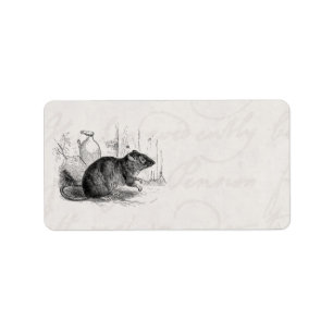 Étiquette Illustration Brown de rats de rat de grange de