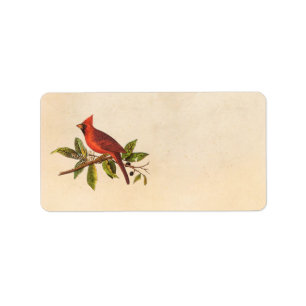 Étiquette Illustration cardinale vintage d'oiseau de chanson