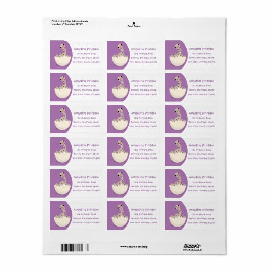 Étiquette Illustration d'autruche pour bébé à couver mignon (Feuille entière)