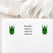 Étiquette Illustration de bug Mecynorhina torquata (En situation)