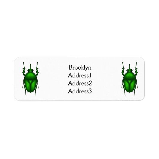 Étiquette Illustration de bug Mecynorhina torquata (Devant)