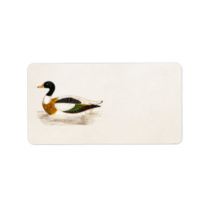 Étiquette Illustration de canard de Drake de 1800s vintages