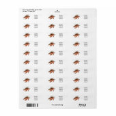 Étiquette Illustration de Kentrosaurus (Feuille entière)