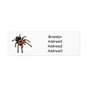 Étiquette Illustration de Tarantula