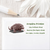 Étiquette Illustration du dragon de Komodo (En situation)