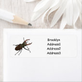 Étiquette Illustration du scarabée de stade (En situation)