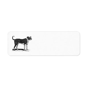 Étiquette Illustration vintage de chien de bouledogue de