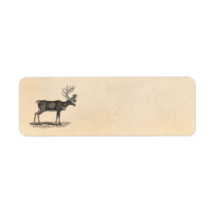 Étiquette Illustration vintage de renne - Noël 1800's