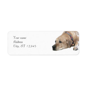 Étiquette Image de chien de Rhodesian Ridgeback d'animal