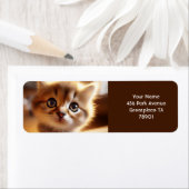 Étiquette Imaginaire Cute Closeup Petit Kitten (En situation)