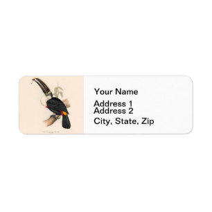 Étiquette Impression du Toucan de Cuvier : Oiseau Tropical V