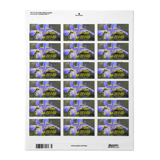 Étiquette Iris pourpre sauvage (Feuille entière)