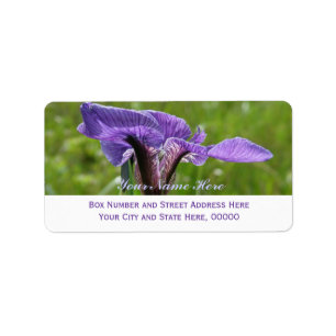 Étiquette Iris sauvage, setosa d'iris