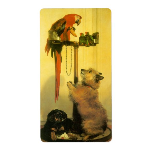 Étiquette Islay, Tilco, un Macaw et des Inséparables de Land (Devant)