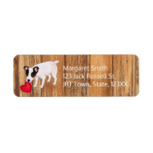 Jack Russell Terrier Valentine Adresse Wood