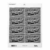 Étiquette Jaguar E (Feuille entière)