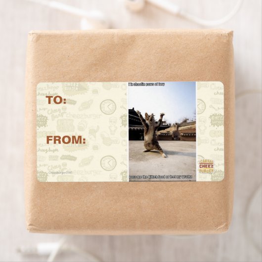 Étiquette J'ai des pattes de shaolin de fureur (En situation)