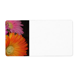 Étiquette Jardin de marguerite de Gerbera