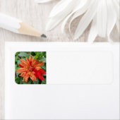 Étiquette Jardin d'été (En situation)