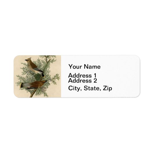 Étiquette Jaseur d'Audubon Cèdre Oiseau (Devant)