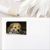 Étiquette Jaune de laboratoire LR avec jouet (En situation)