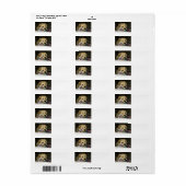 Étiquette Jaune de laboratoire LR avec jouet (Feuille entière)