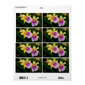 Étiquette Jaune rose violet Miltonia Sunset Orchidées (Feuille entière)