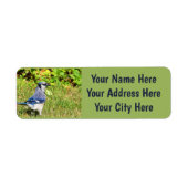 Étiquette Jay bleu du nord (Devant)