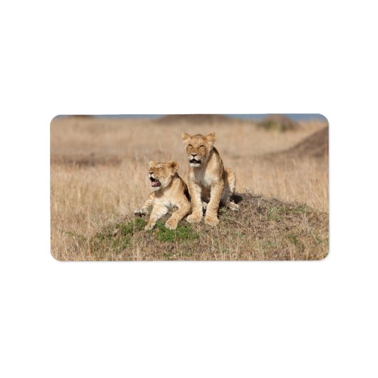 Étiquette Jeunes lions (Devant)