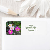 Étiquette Joli automne Fleurs automne rose Anémones (En situation)