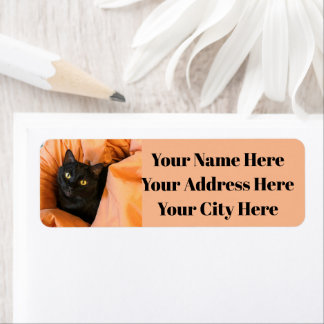 Étiquette Joli chat noir