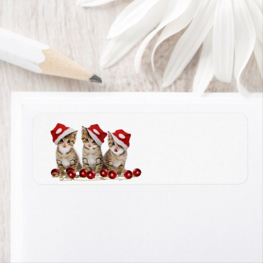 Étiquette Joli chatons Noël (En situation)